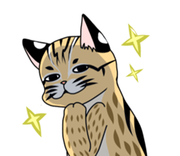 cute Leopard Cat. sticker #14273410
