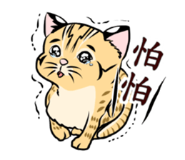 cute Leopard Cat. sticker #14273416