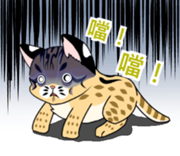 cute Leopard Cat. sticker #14273423