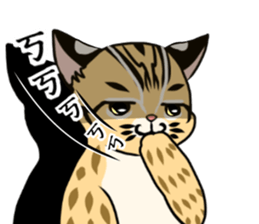 cute Leopard Cat. sticker #14273427