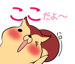 KOKO's exclusive sticker sticker #14273550