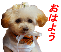 NANA Sticker 2016 sticker #14274614