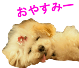 NANA Sticker 2016 sticker #14274615