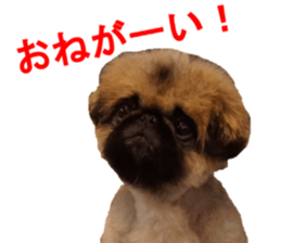 NANA Sticker 2016 sticker #14274616