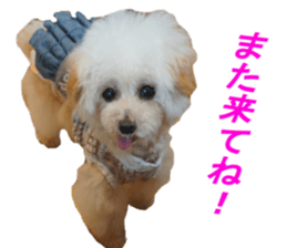 NANA Sticker 2016 sticker #14274617