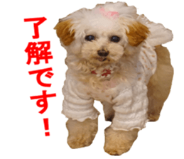 NANA Sticker 2016 sticker #14274618