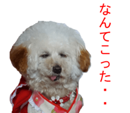 NANA Sticker 2016 sticker #14274619