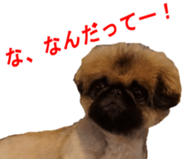 NANA Sticker 2016 sticker #14274621