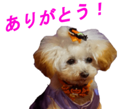 NANA Sticker 2016 sticker #14274622