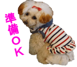 NANA Sticker 2016 sticker #14274623