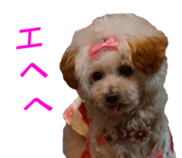 NANA Sticker 2016 sticker #14274624