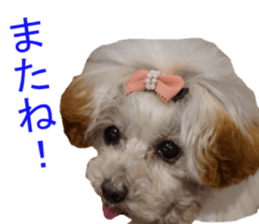 NANA Sticker 2016 sticker #14274625