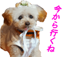 NANA Sticker 2016 sticker #14274627