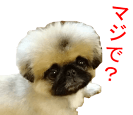 NANA Sticker 2016 sticker #14274629