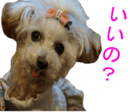 NANA Sticker 2016 sticker #14274631