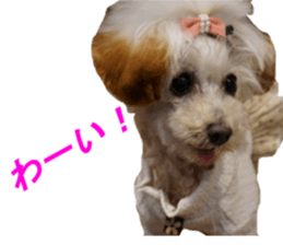 NANA Sticker 2016 sticker #14274632