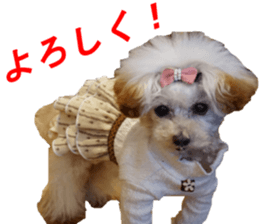 NANA Sticker 2016 sticker #14274633