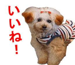 NANA Sticker 2016 sticker #14274634