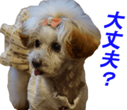 NANA Sticker 2016 sticker #14274635