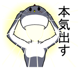 Owner of Ms.kokeko. appeared. sticker #14274770