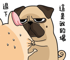 Pug's crazy life sticker #14275374