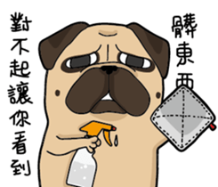 Pug's crazy life sticker #14275375