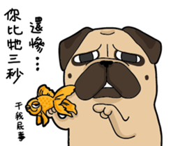 Pug's crazy life sticker #14275376