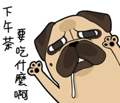 Pug's crazy life sticker #14275387