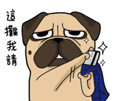 Pug's crazy life sticker #14275389