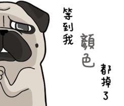 Pug's crazy life sticker #14275390