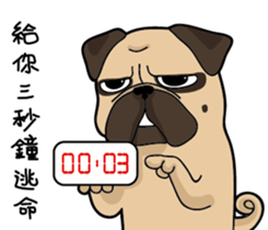 Pug's crazy life sticker #14275396