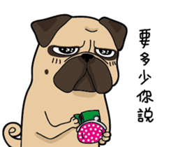 Pug's crazy life sticker #14275399