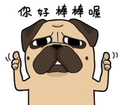 Pug's crazy life sticker #14275400