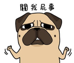 Pug's crazy life sticker #14275401