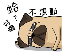 Pug's crazy life sticker #14275403