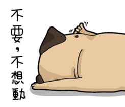 Pug's crazy life sticker #14275404