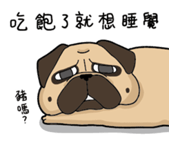 Pug's crazy life sticker #14275405