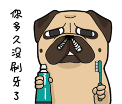 Pug's crazy life sticker #14275407