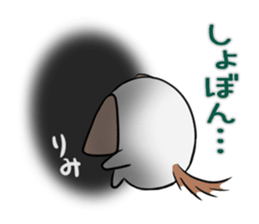 RIMI's exclusive sticker sticker #14275729