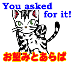 useful communication English-Japanese02 sticker #14275920