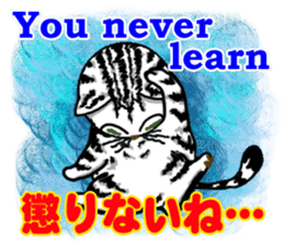 useful communication English-Japanese02 sticker #14275926