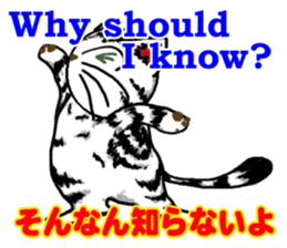 useful communication English-Japanese02 sticker #14275929