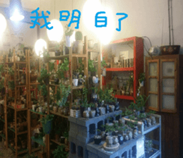 Akun Nature Scenery photo sticker #14276591