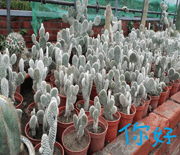 Akun Nature Scenery photo sticker #14276592