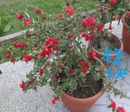 Akun Nature Scenery photo sticker #14276595