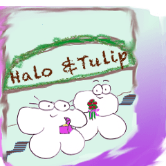 Halo and Tulip: Modern Living. Sort of!