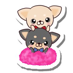 Chihuahua and funny companions