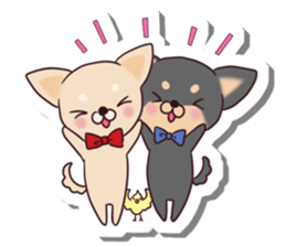Chihuahua and funny companions sticker #14278017