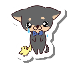 Chihuahua and funny companions sticker #14278020
