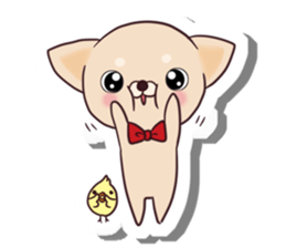 Chihuahua and funny companions sticker #14278023